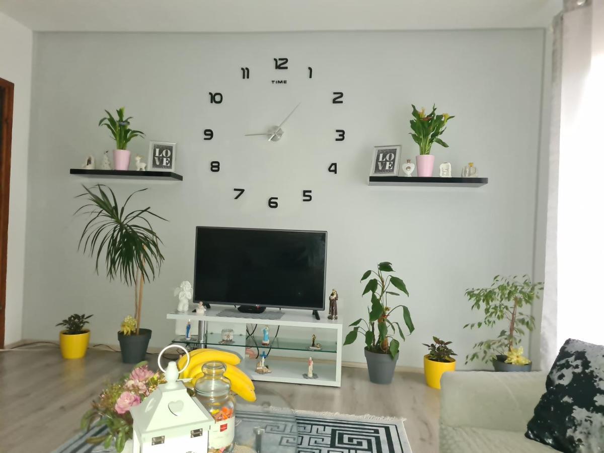 Apartment Danijela سينج المظهر الخارجي الصورة