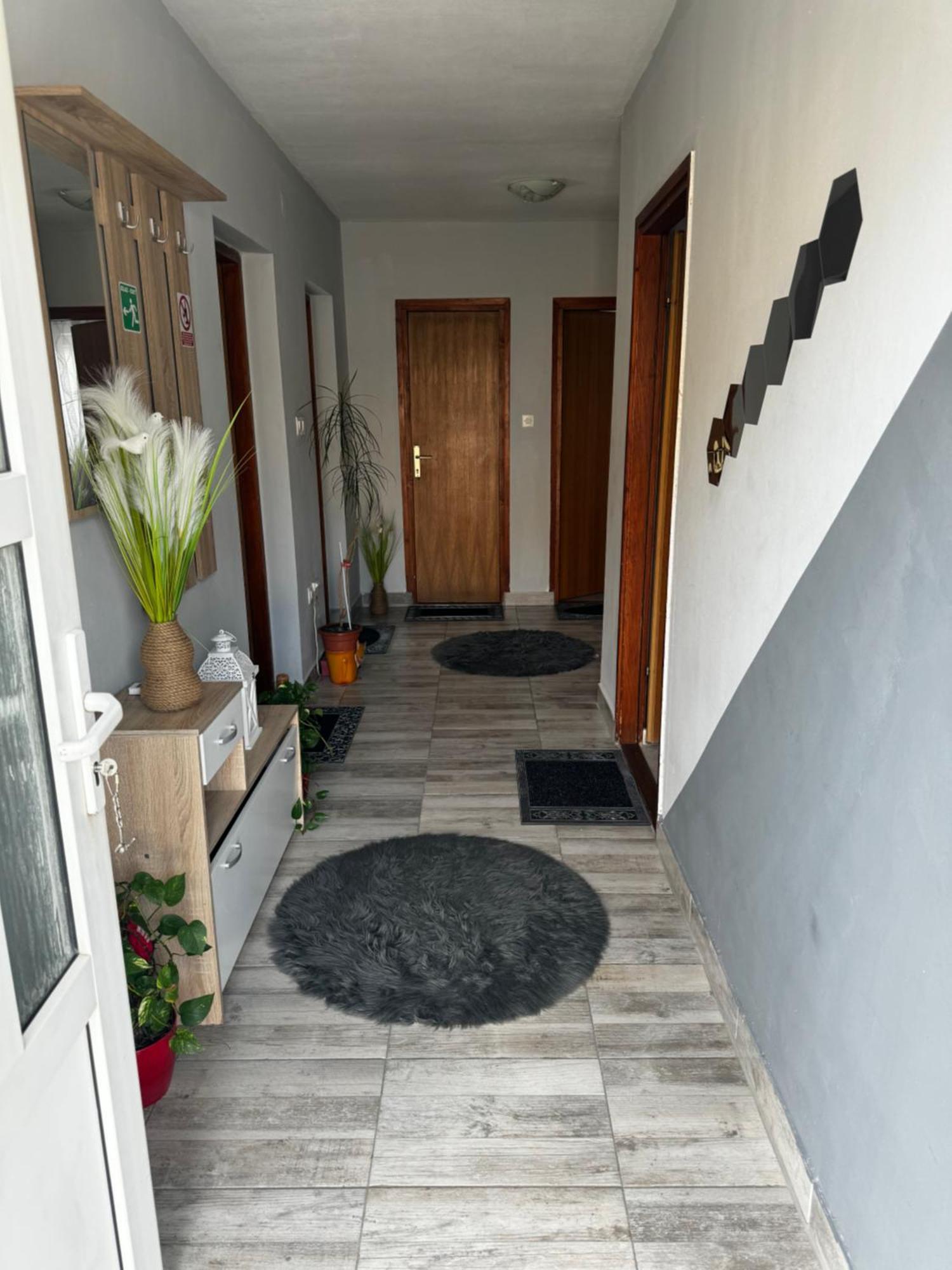 Apartment Danijela سينج المظهر الخارجي الصورة