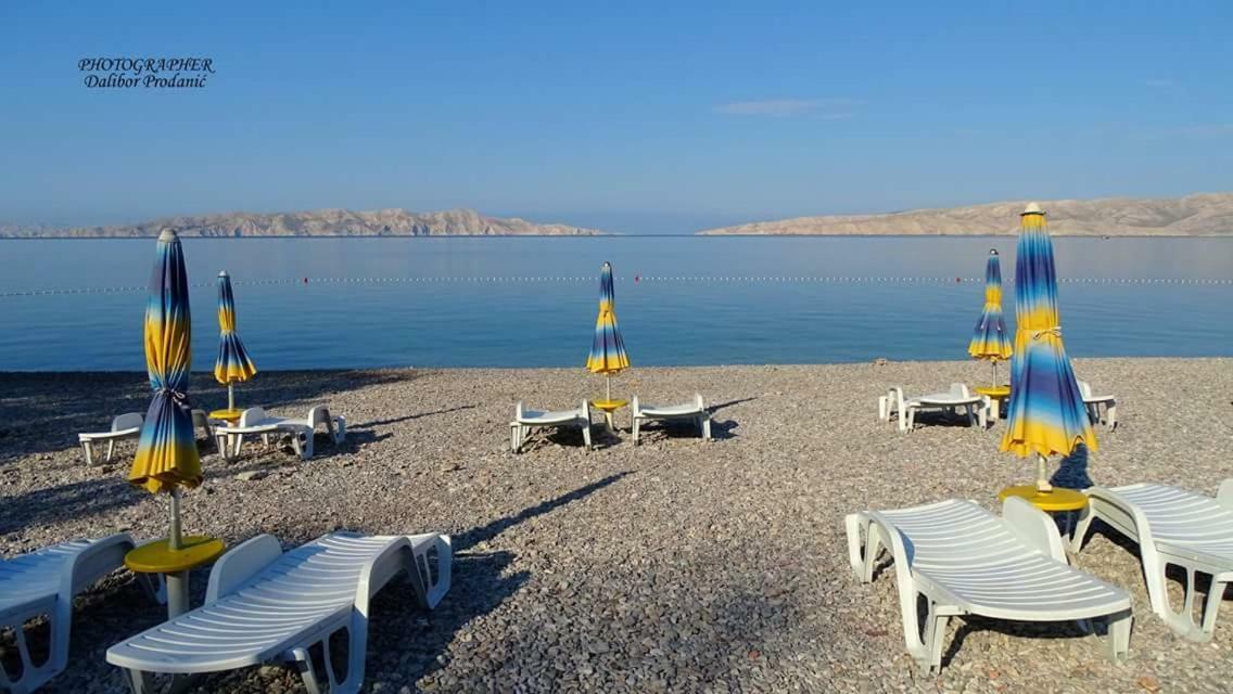 Apartment Danijela سينج المظهر الخارجي الصورة